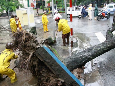Workers clear a fallen tree on Phan Boi Chau-Ly Thuong Kiet Crossroad in Hanoi (Photo: SGGP)